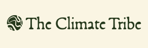 The Climate Tribe logo