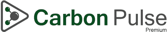 Carbon Pulse logo